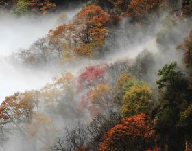 這個秋天太行山大峽谷要用色彩征服你的心