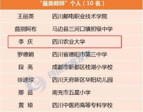 四川省教育廳釋出一份名單！全省僅10位教師上榜，覆蓋大中小學！
