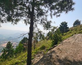 海爾智家：科技創新目的是改變生活