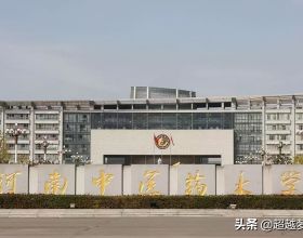 河南中醫藥大學2021年河南省一本、二本各專業錄取分數