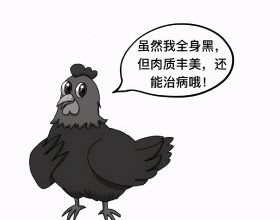 雲南六大名雞，哪隻是你們家鄉的？
