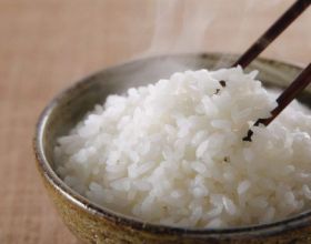 為什麼不吃米飯，體重下降得非常快？不妨瞭解一下