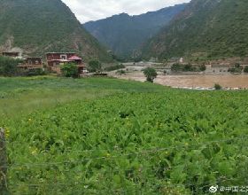 重走天路看變遷：走進“西藏解放第一村”