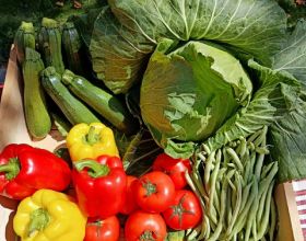 有效減重、降血壓要吃這5種蔬菜