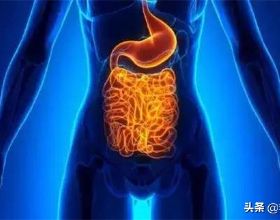 腸息肉和腸癌有什麼關係？來聽聽醫生怎麼說
