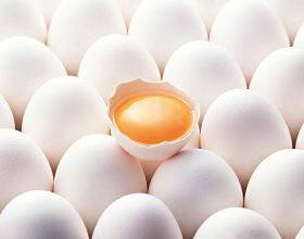 每天堅持吃雞蛋，會增加骨質疏鬆患病機率？日本34年研究得出結果