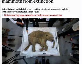 美國科學家欲在6年內復活猛獁象，並放生北極，這真的好嗎？
