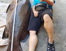 廣東釣魚人釣獲罕見的石斑魚，體長超過成年人！網友：值好幾萬