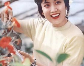 80年代當紅女星李秀明，巔峰時隱退賣薯片，如今她過得怎麼樣了？