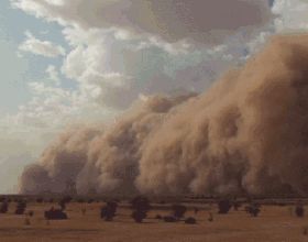 每年1.82億噸沙塵，撒哈拉沙漠滋養亞馬遜雨林，美國人卻痛苦不堪