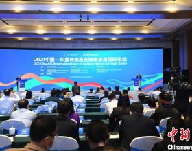 廣西推動中國—東盟傳統醫藥健康旅遊國際合作