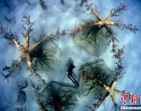 塞普勒斯建立水下雕塑公園 潛泳者探索蔚藍奇妙世界