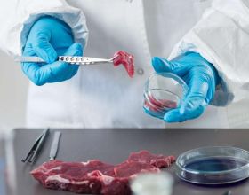 來自實驗室的肉類：它是如何培養出來的？