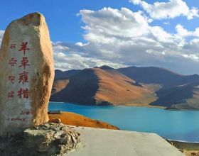西藏羊湖8億公斤魚類氾濫成災，隨手就可捕撈，為何無人敢吃？