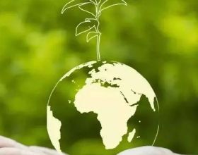 能源區塊鏈研究｜GreenTrust Token公司：企業植樹能否真正抵消碳排放？
