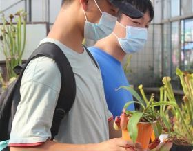 奇花異草專“吃”蟲子！園藝師辦起體驗館，這樣的網紅植物你想養嗎？