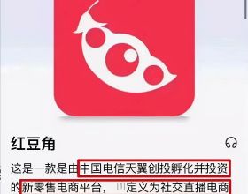 紅豆角拼團碰瓷中國電信，又是一次有預謀“割韭菜”的騙局？