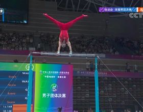 肖若騰受傷病困擾，北京隊全運會體操男團排名第四