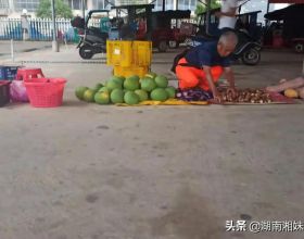 湖南有個老農這幾天在賣一種不能吃的柚子，來看看是怎麼回事？