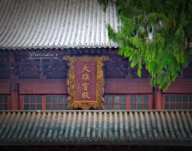 藏在浙江小縣城的5A“寶藏景點”：國清寺，和特別的植物“氣場”