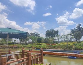 萬江兒童公園旁的筍盤——碧桂園雲樾半島
