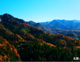 新春走基層｜誰能拒絕“小萌虎”呢？