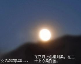 澳洲網民氣瘋了：一夜之間超市可樂價格翻倍，喝不起了