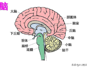 民間故事：書生趕考遇到和尚，和尚：你若答對此考題，必高中進士