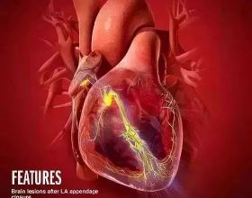 網曝《浪姐3》大咖組偶像組歌手組演員組初擬定，下月開錄