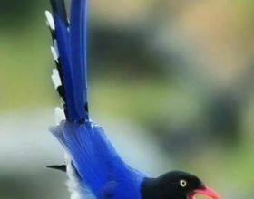 課後服務的&OpenCurlyDoubleQuote;三個時刻&rdquo;