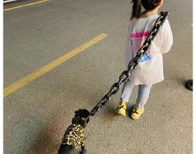 帶老婆，孩子，女朋友到東京必去，淺草 17個熱門場所介紹