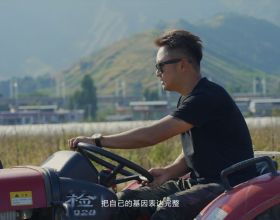 想買新能源車，來看看這款續航610km的寶藏新能源車