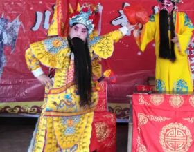 7種“養生花”，漂亮又好養，家中養一盆，食用價值高