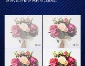 人間理想蔡曉光，女生們的白月光