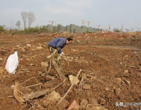 全國電子商務進農村綜合示範縣專案農村電商直播培訓教材 普及班