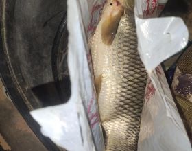 腎病出現面板瘙癢，當心是高磷血癥