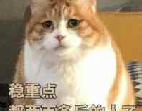 韋布望遠鏡將鏡頭轉向了北斗七星