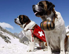 18年高考712分，拒清華北大，執意去四川大學，李一峰：賺更多錢