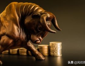 在超冷超流體數值模擬中發現的偏心分式skyrmion
