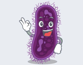 阿喵日記：謹以此文，紀念那些曾經與肥肉做抗爭的苦逼歲月