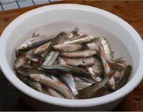 兒童腳踏車品牌推薦TOP10