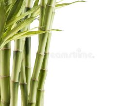 恭喜買了房的客戶，您購買的房子要漲價了！通脹又來了