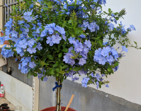 財聯社2月15日電，英國首相約翰遜表示，“我們認為俄羅斯隨時準備著採取行動”