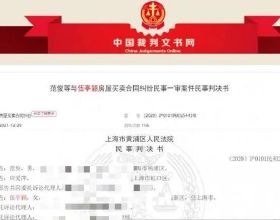 國外論壇討論評價iPhone14Pro五種螢幕形態，到底哪種最受歡迎？