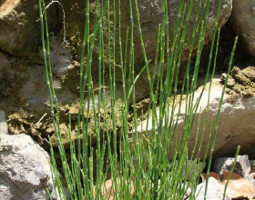 泰國衛生部：泰國醫院新冠患者空餘床位超過70&percnt;