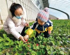 (星座日運)羅馬尼亞——伊麗莎白2022年1月29日星座運勢