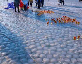具有科學冷卻短週期的20L膜內貼漆桶模具