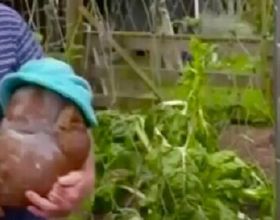 中國數字經濟：未來三年增長28&percnt;，2025年佔GDP比重10&percnt;