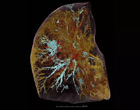 人這一輩子一定要想開，看淡，一定要為自己而活