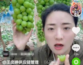 河南姑娘王奕婷：“我帶著粉絲走進全國各地水果原產地”
